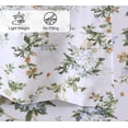 thumbnail image 4 of RUVANTI Draps 100 % Coton, Parure de Lit en Percale, Taille Standard, Style Classique, 4 of 5