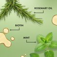 thumbnail image 4 of Mielle Revitalisant sans rinçage fortifiant au romarin et à la menthe – Revitalisant capillaire léger enrichi de biotine et d’extrait pur de romarin qui hydrate, démêle et aide à fortifier les cheveux, 4 of 10