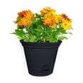thumbnail image 4 of Misco 6.8IN FLARE SW Planter BLACK, 4 of 5
