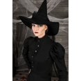 thumbnail image 4 of Deluxe Wicked Witch Costume, 4 of 5