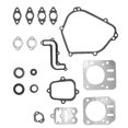 thumbnail image 1 of Ensemble de Joints de Moteur Remplace pour Modèles Pelouse 791797 699638, 1 of 7