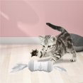 thumbnail image 4 of Maytalsory Interactive Cat Toy Electric Robotic Automatic Toys Pet Indoor Training, 4 of 6