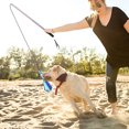 thumbnail image 4 of Quentinu Retractable Dog Teaser Pole Puppy Trainer Dog Tease Pet Toy Training Stick, 4 of 7