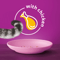 thumbnail image 2 of WHISKAS MEATY SELECTIONS Adult Dry Cat Food with Real Chicken, 9.1kg Bag, 2 of 10