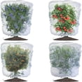 thumbnail image 4 of Fridja Sales Garden Insect Net Cover Is Used To The Flowers Of Plants From Damage, 4 of 6