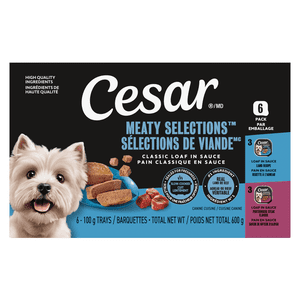 CESAR Classic Loaf in Sauce Entrées Wet Dog Food 6x100g Variety Pack (Lamb Recipe / Porterhouse Steak Flavour)