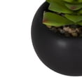 thumbnail image 4 of DesignOvation 4.13" H Tabletop Artificial Succulent in Black Ceramic Pot, 4 of 9