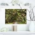 thumbnail image 1 of Design Art - Live Oak Tunnel, 1 of 3