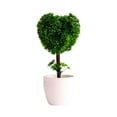 thumbnail image 1 of LUXLEVO Heart Shaped Bonsai Mini Potted For Home Desk White Small Ornamental Tabletop Flowers Centerpiece, 1 of 6