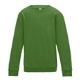 thumbnail image 1 of AWDis Just Hoods Boys/Girls Plain Crew Neck Sweatshirt, 1 of 2