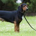 thumbnail image 4 of HONITANO Multifunction Black Dog Leash with Adjustable Length and Durable Nylon Rope for Walking and Training, 4 of 6
