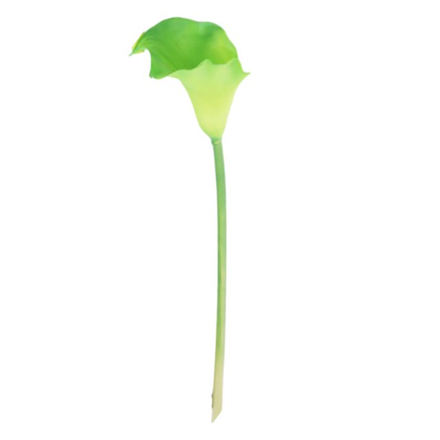 kurtrusly Wedding Decor With Simulated Calla - Choose Variety Of Colors And Styles With High 3D And Simulation Durable PU Tender green 1 Pc