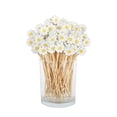 thumbnail image 2 of Tong Floral Toothpicks Elegant Decorative Picks For Parties Weddings And Entertaining 1 Count Floral Party Picks, 2 of 6