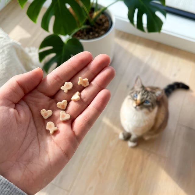 Gâteries pour chats Catit Creamy Bitz, Recette au poulet et aux pétoncles, 48 G