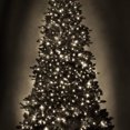 thumbnail image 4 of Danson Décor 500CT Lumière DEL, Blanc Chaud, 4 of 4