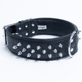 thumbnail image 2 of Amsterdam Dog Collar by Angel. Multi Line Spiked Collar, 28" X 2" , Midnight Black, 2 of 4