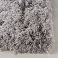 thumbnail image 3 of SAFAVIEH Polar Abbot Carlene Tapis Peluche Shag, 3 of 7