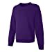 thumbnail image 3 of Hanes Chandail en Molleton Col Rond ComfortSoft EcoSmart pour Filles, TP, Violet Thora, 3 of 7