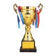 thumbnail image 1 of Prix Trophée Prix avec Récompenses de Base Trophée Gagnant Gobelet Trophée pour École Fête 30 cm, 1 of 8