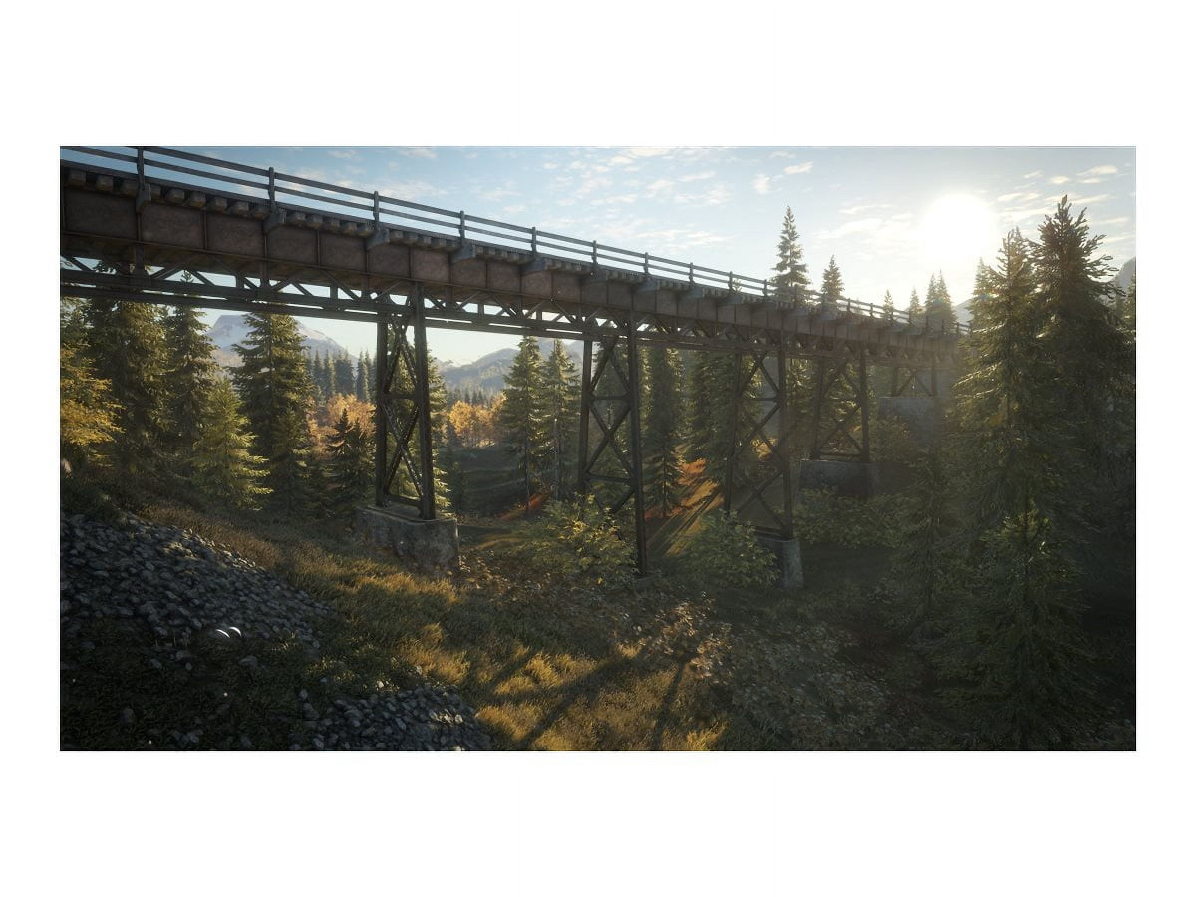 Jeu vidéo The Hunter Call of The Wild pour (PS4)