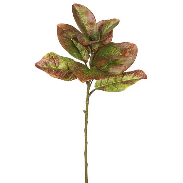 Single Magnolia Leaves-Autumn Greenery Stem - Pack of 3