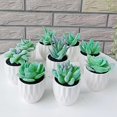 thumbnail image 4 of Coofit Mini Potted Succulent Lifelike - Artificial Plant Faux Succulent in Pot for Home, 4 of 4