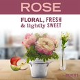 thumbnail image 3 of Mrs. Myers MMCD LQD DISH SOAP ROSE (Pack of 6), 3 of 6