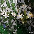 thumbnail image 5 of TIMIFIS Decorative Lights Solar Flower Lights Outdoor, Solar Flowers Garden Decorative Lights LED Stake Lights Auto On/Off Bright up to 8 Hrs Lighting & Ceiling, 5 of 5