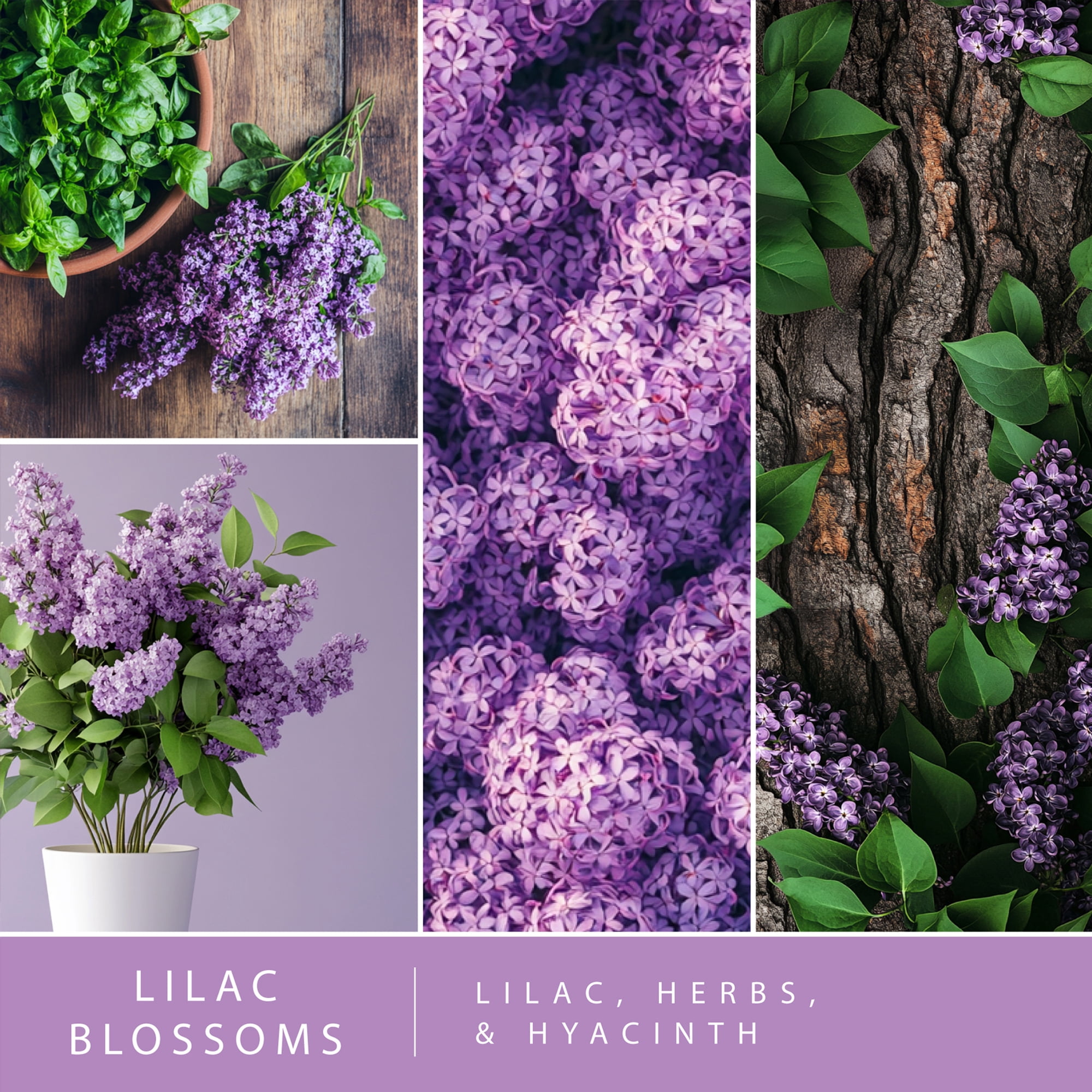 Cubes de cire parfumée ScentSationals - Lilac Blossoms
