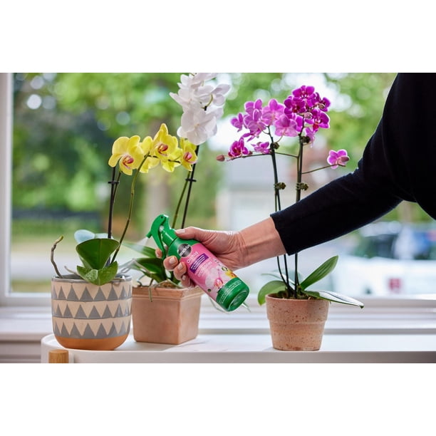 Miracle-Gro Orchid Plant Food Mist 236mL - Walmart.ca