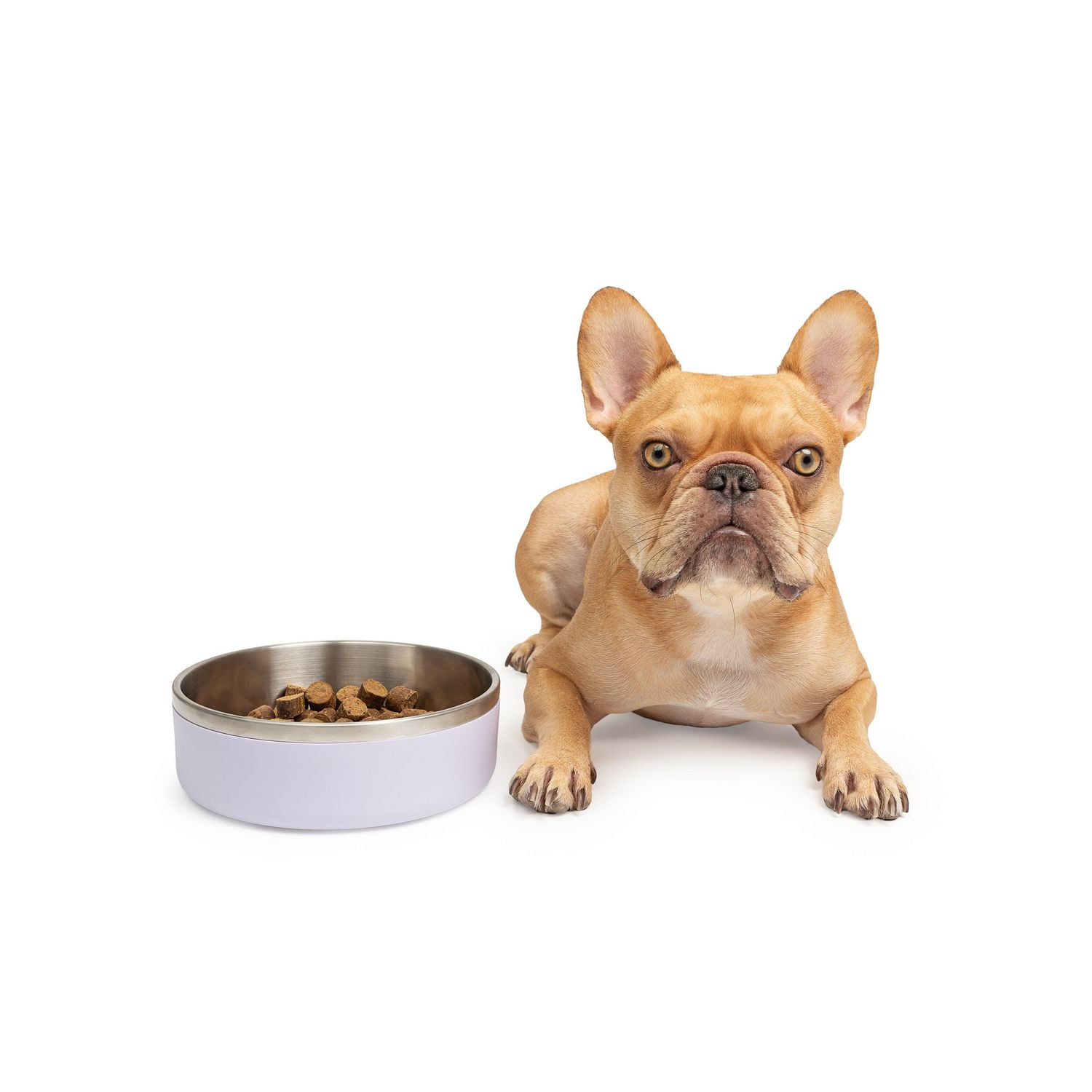 One Paw , Petit Bol Double pour Chien en Acier Inoxydable, 1.3L (44 oz), pour Chiens et Chats