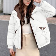 Ailaofu Winter Coats for Women Warm Oversized Coat Fake Two Piece down Jacket Zip Up Fashion Parka Outerwear with Pockets