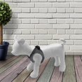 thumbnail image 3 of 1PC Dog Mannequin Standing Pose Model for hop Display Apparel Clothing, 3 of 8