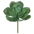 thumbnail image 1 of Mainstays Echeveria Plant Artificial Succulent Pick, 1 of 6