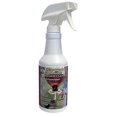 thumbnail image 1 of Carefree 98557 Hummingbird and Oriole Feeder Cleaner, 16-Ounce, 1 of 2