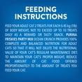 thumbnail image 3 of Purina Friskies Party Mix Croquant Océan Gâteries pour Chats 170g, 3 of 9