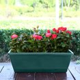 thumbnail image 5 of 4PCS Window Box Planter with Drainage Holes & Matching Saucers,17 Inch Plastic Rectangular Flower Pot for Vegetables Herbs Flower for Indoor Outdoor Garden Decor Patio Balcony Windowsill Deck Railing, 5 of 5
