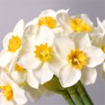 thumbnail image 2 of Artificial Flower Bundle Simulation Floral Decor Home Office artificial flower bundle Plant Ornament Wedding Fake Flower Bouquet, White, 2 of 9