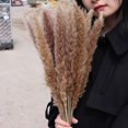 thumbnail image 4 of Artificial Dried Pampas Grass Realistic Vibrant Color Easy Maintenance Wedding Centerpiece Pampas Grass Fake Plant Decor, 4 of 7