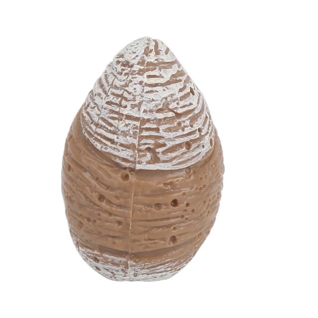 Insects Toy, Growth Cycle Insects Toy, Environmental Non-Toxic Safe Harmless Odorless Poatable for Education Playing Children Teaching Activities