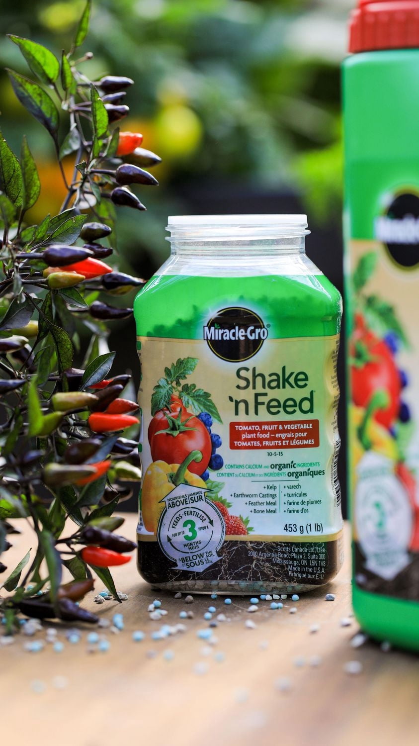 Miracle-Gro Shake N Feed Tomato, Fruits & Vegetables Plant Food - 453g