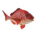thumbnail image 3 of HILABEE Figurines d'Animaux Réalistes Action Marine Jouets Éducatifs Rouge Rouge Vivaneau, 3 of 9