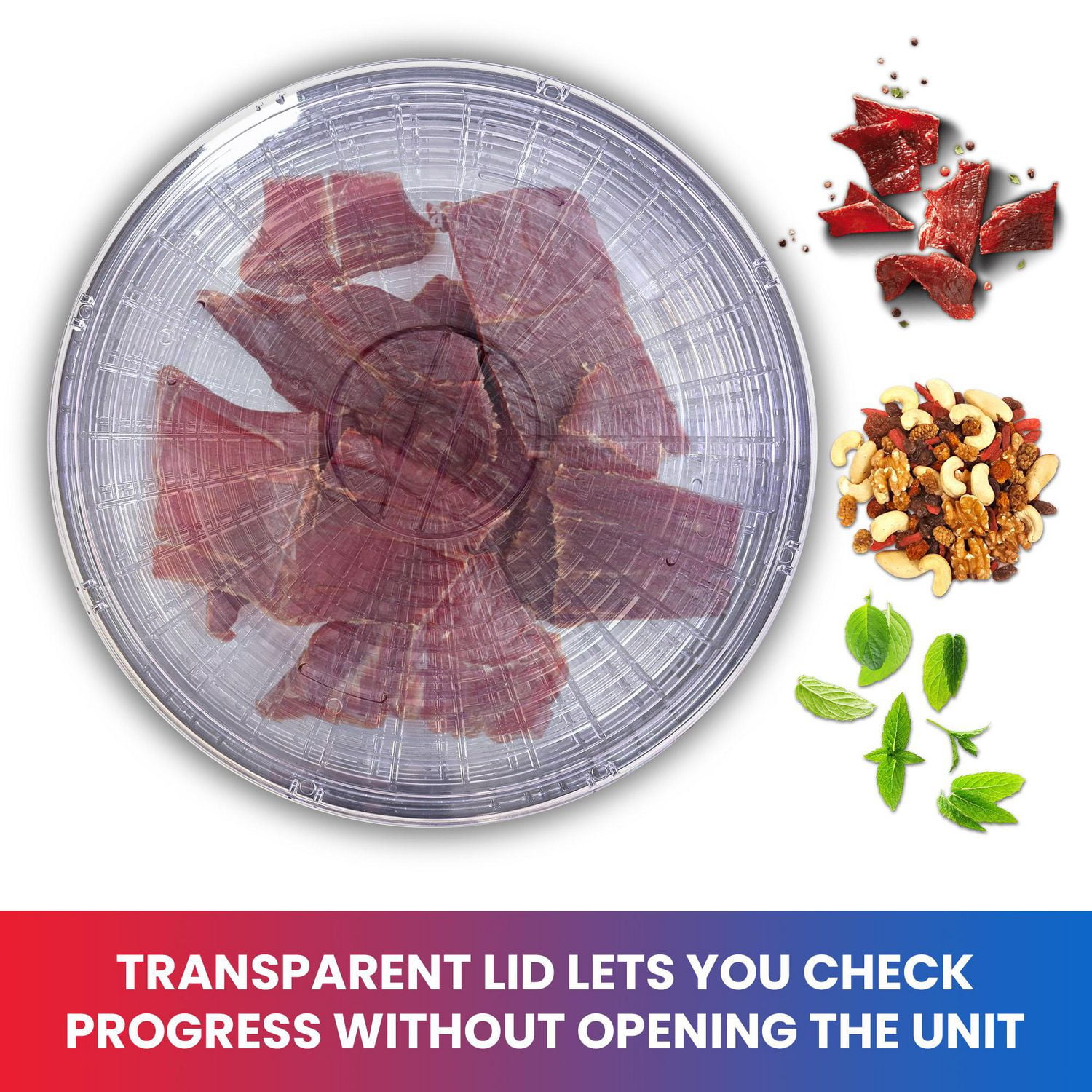 Total Chef Countertop Food Dehydrator with 5 Trays, Compact & Energy-Efficient Dehydration for Fruits & Snacks