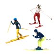 thumbnail image 1 of HILABEE 3 Pcs Peint à la Main 1/64 Modèle Miniature Ski Figurines Table Micro Paysage C, 1 of 9