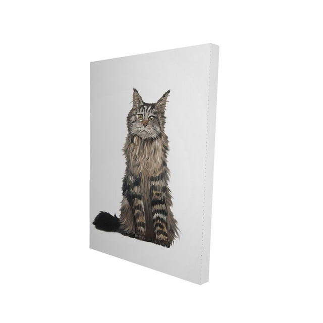 Maine coon cat - 24"x36" canvas - Print on demand