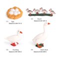 thumbnail image 1 of pitrice 1 Ensemble de Modèle de Ver à Bêche Matériau Plastique de Qualité Figurines d'Insectes Significatives Modèles de Culture Éducatifs Précoces pour Projet Scolaire Quai type 1, 1 of 6