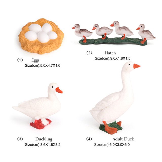 pitrice 1 Ensemble de Modèle de Ver à Bêche Matériau Plastique de Qualité Figurines d'Insectes Significatives Modèles de Culture Éducatifs Précoces pour Projet Scolaire Quai type 1