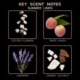 thumbnail image 4 of LOVSPA Summer Linen Reed Diffuser Oil Refill with Replacement Reed Sticks - Lemon Grapefruit Aloe Lavender and Golden Amber - Natural Essential Oils - Made in The USA, 4 of 5