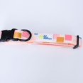 thumbnail image 3 of Lila Pawtique Adjustable Dog Collar Vik Fiesta, 3 of 4