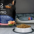 thumbnail image 3 of Pure Balance Pro+ Sensitive Skin & Coat, Salmon & Brown Rice Recipe Dry Dog Food 7kg, 3 of 8